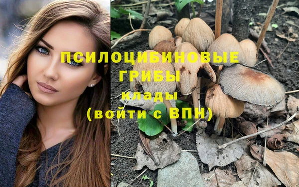 соль курить ск Зеленодольск