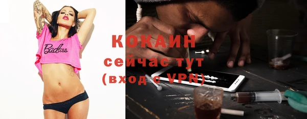 хмурый Зеленокумск