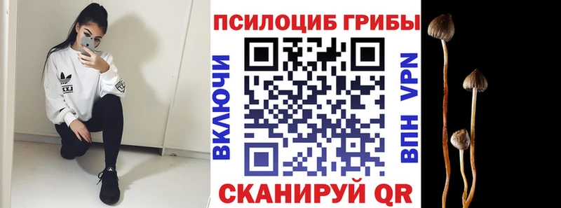 продажа наркотиков  Истра  Галлюциногенные грибы GOLDEN TEACHER 